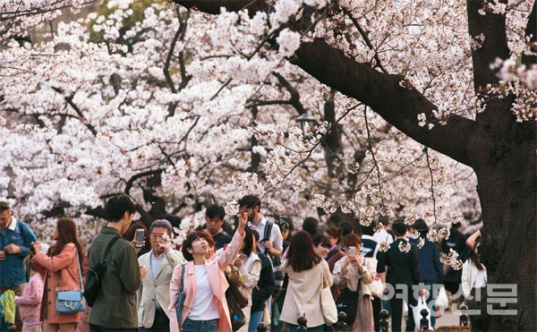 한국뿐만 아니라 전 세계적으로 1~3박 일정으로 떠나는 짧은 여행이 여행자들의 선택을 받고 있다. 사진은 도쿄 우에노 공원