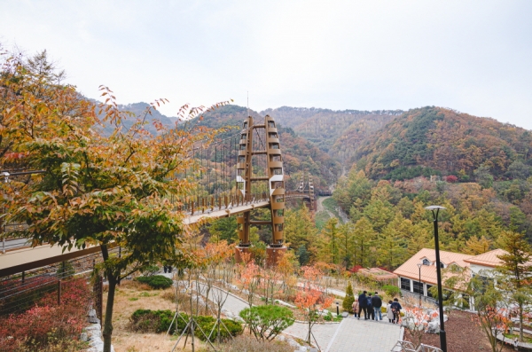 충북 좌구산 자연휴양림 / 한국관광공사