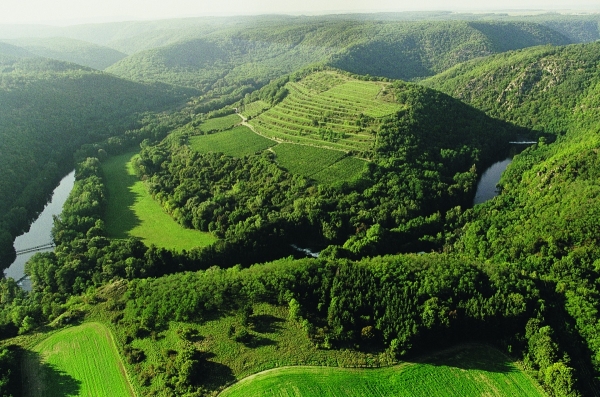 쇼베스 포도밭 풍경 / South Moravia Tourism