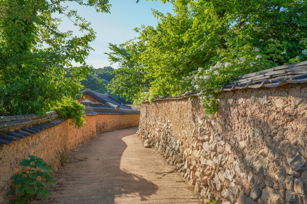  한개마을의 토석담 / ©권다현