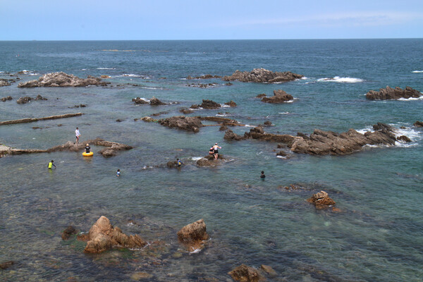 경주 바다에서 관광객들이 피서를 즐기고 있다 / 김다미 기자