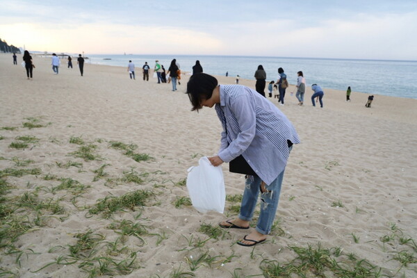 한국문화관광연구원이 강릉 해변가 쓰레기를 치우는 사회공헌활동 'KCTI 두루나눔사업'을 진행했다 / 한국문화관광연구원