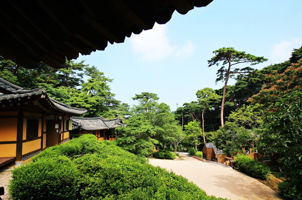 안면도자연휴양림은 안면송과 함께 한옥 숙박을 할 수 있는 휴식 명소다 / 한국관광공사