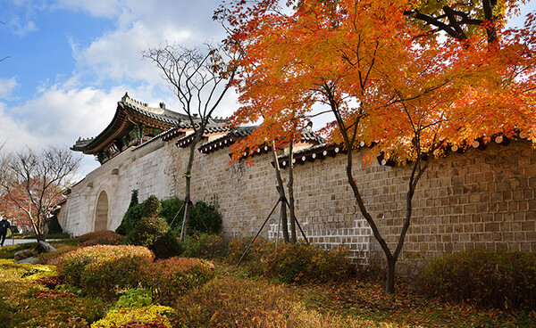 서울 궁궐과 주변 거리에서 가을을 조금 더 가깝게 즐길 수 있다 / 문화재청궁능유적본부