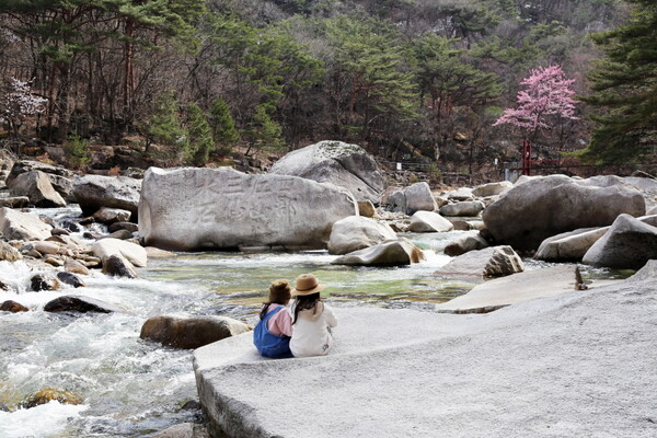 선암골생태유람길은 선암계곡을 따라 돌과 꽃들을 감상할 수 있다 / 한국관광공사
