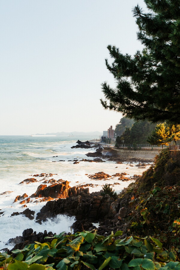 옥빛 바다를 따라 드라이브하며 볼 수 있는 풍경