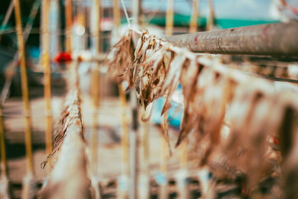 장호항은 신선한 해산물을 맛볼 수 있는 최적의 장소다
