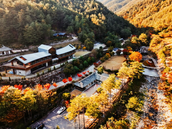 하늘 위에서 내려다본 삼척활기치유의숲