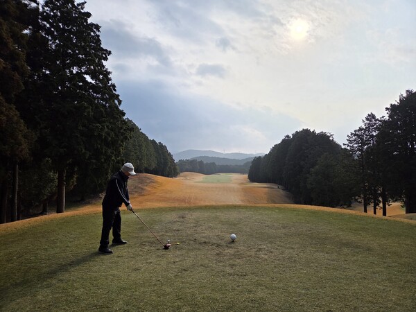 오무라완CC는 오래된 골프장답게 큰 나무들이 홀과 홀의 경계를 자연스럽게 가른다. / 안인석 기자