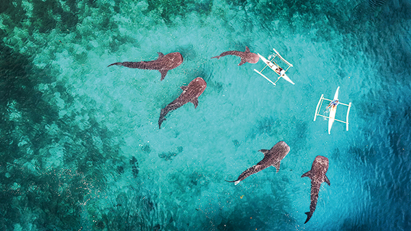 ⓒ한-아세안 센터