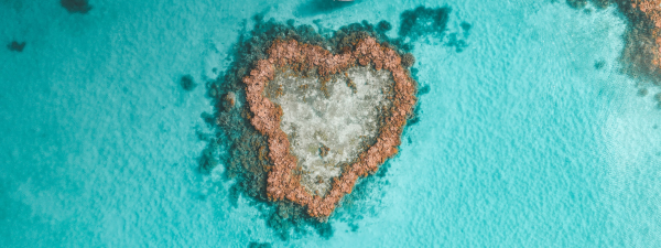 헬리콥터를 타고 하늘에서 감상하는 하트 모양의 산호초 / 해밀턴 아일랜드 