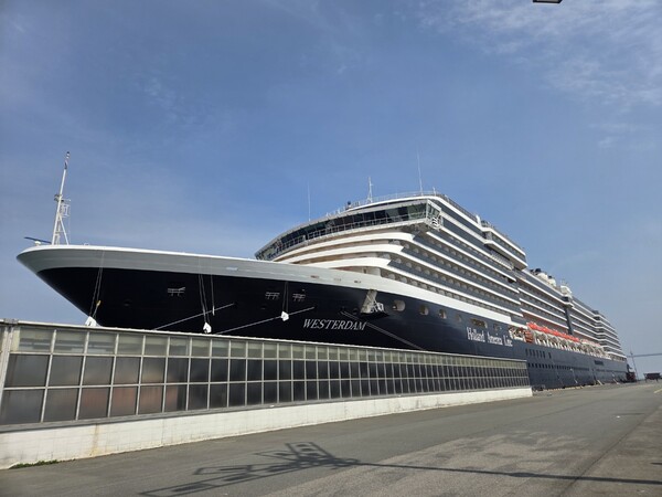 부산에 기항한 홀랜드아메리카라인 크루즈. / 안인석 기자