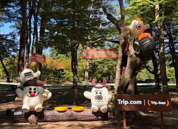 남이섬에 온라인 여행 랭킹 서비스를 활용한 오프라인 포토존이 들어섰다 / 트립닷컴